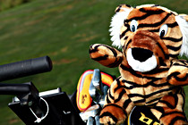 OOEV_Golf_019.jpg
