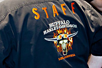 Buffalo_020.jpg