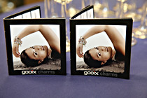 gooix_schenk_728.JPG