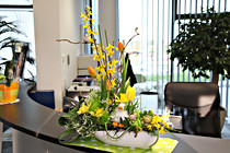 vta_schenk0009.JPG