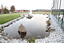 vta_schenk0013.JPG