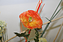 vta_schenk0016.JPG