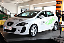 aveg_schenk_0020.JPG