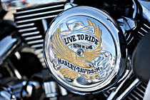 max_biker_001.jpg