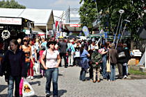 KW3R0808.JPG