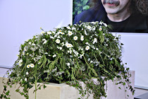 ciao_rik_015.JPG