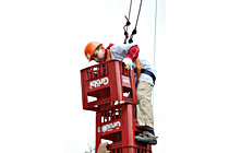 redlbau_0012.JPG