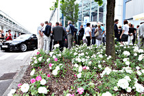 money_motoren_006.JPG