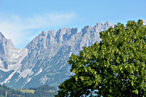 DSC_3770.jpg