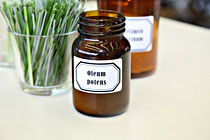apotheke_0020.JPG