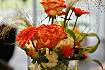 vta_0105.JPG