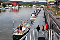 IMG_6009.jpg