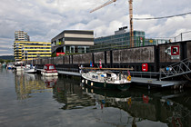 IMG_6012.jpg