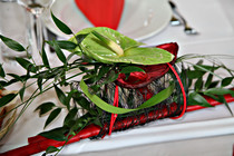 apt_hydraulik_0129.JPG