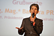 rot-015.jpg