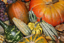 skygarden_0208.JPG