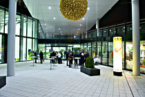 17ML1_0832.jpg