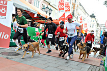 Silvesterlauf_027.JPG