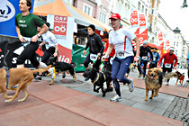 Silvesterlauf_028.JPG