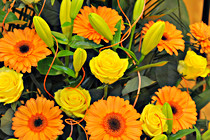 olg_linz_0031.JPG