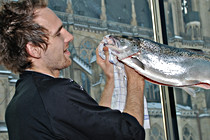 Domviertel-31.jpg