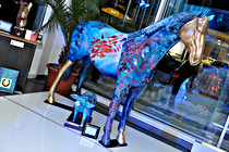 BMW_025_DSC_6259.JPG