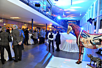 BMW_026_DSC_6264.JPG