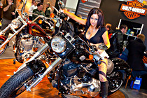 HD_Bike2012_005_8160.jpg