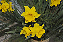 vta_00030.JPG