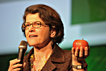 fidw_0022.JPG