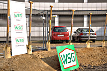 WSG_0020-1.jpg