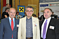 harmonika_perg_0706.JPG