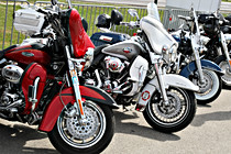 IMG_0014.JPG