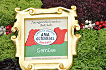 eferdinger_gemueselust_007.JPG
