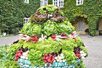 eferdinger_gemueselust_023.JPG