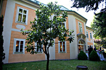 IMG_5050.jpg
