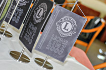 Lions026.jpg