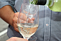 vinum_perg_02032.JPG