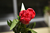 wb_ooe_0012.JPG