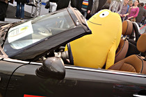 Autofruehling009.JPG