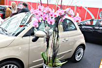 Autofruehling022.JPG