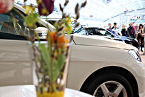 Autofruehling025.JPG