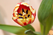kiener_00003.JPG