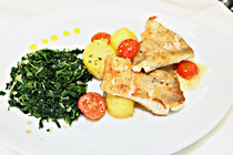 kiener_00010.JPG