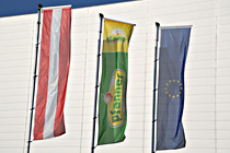 wb_enns_0009.JPG