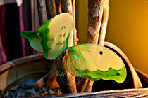 culinaria-art_cubus014.jpg