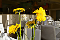 culinary_015.jpg
