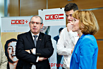 WK_Wels_007.jpg