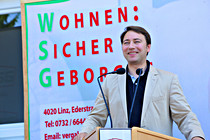 wsg011.JPG