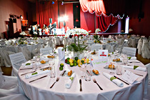 WifeBall2013_017.jpg